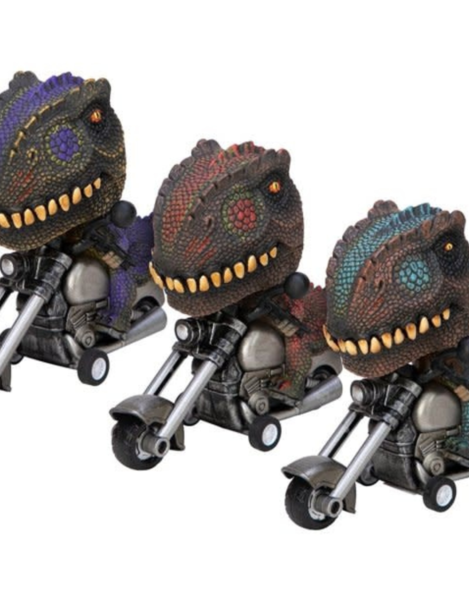 T Rex Riders