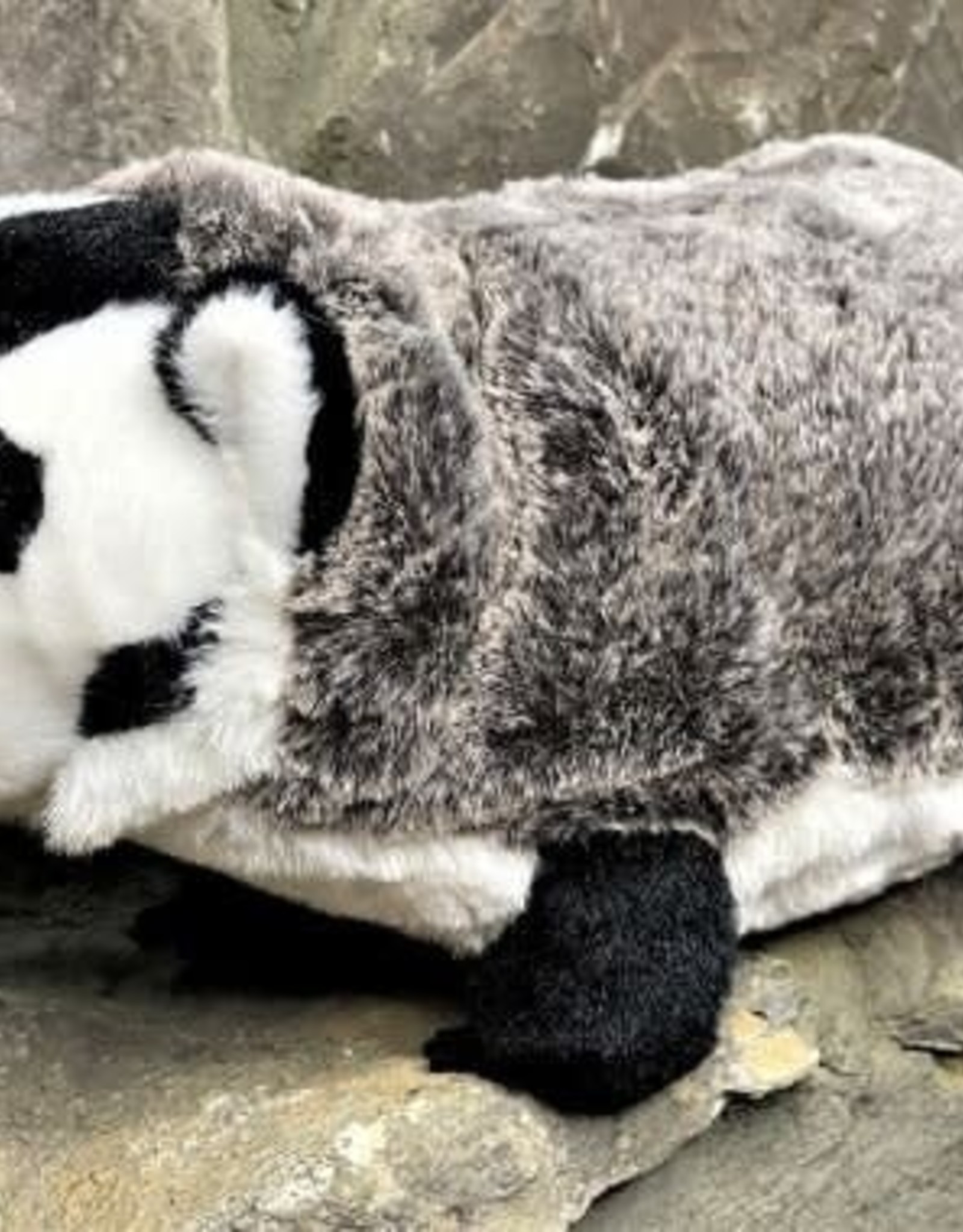 Douglas Toys Barry Badger 11"