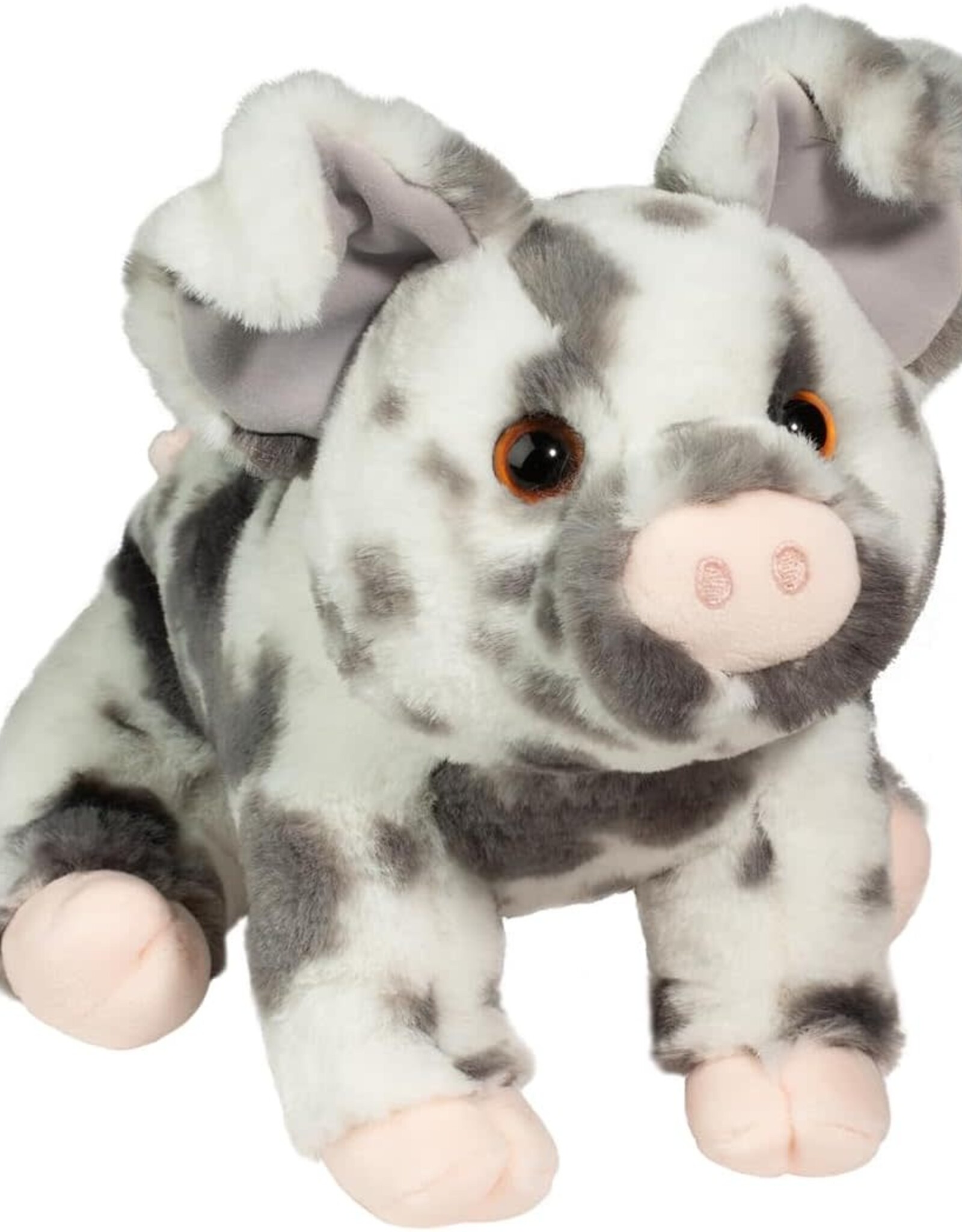 Zoinkie Spotted Pig