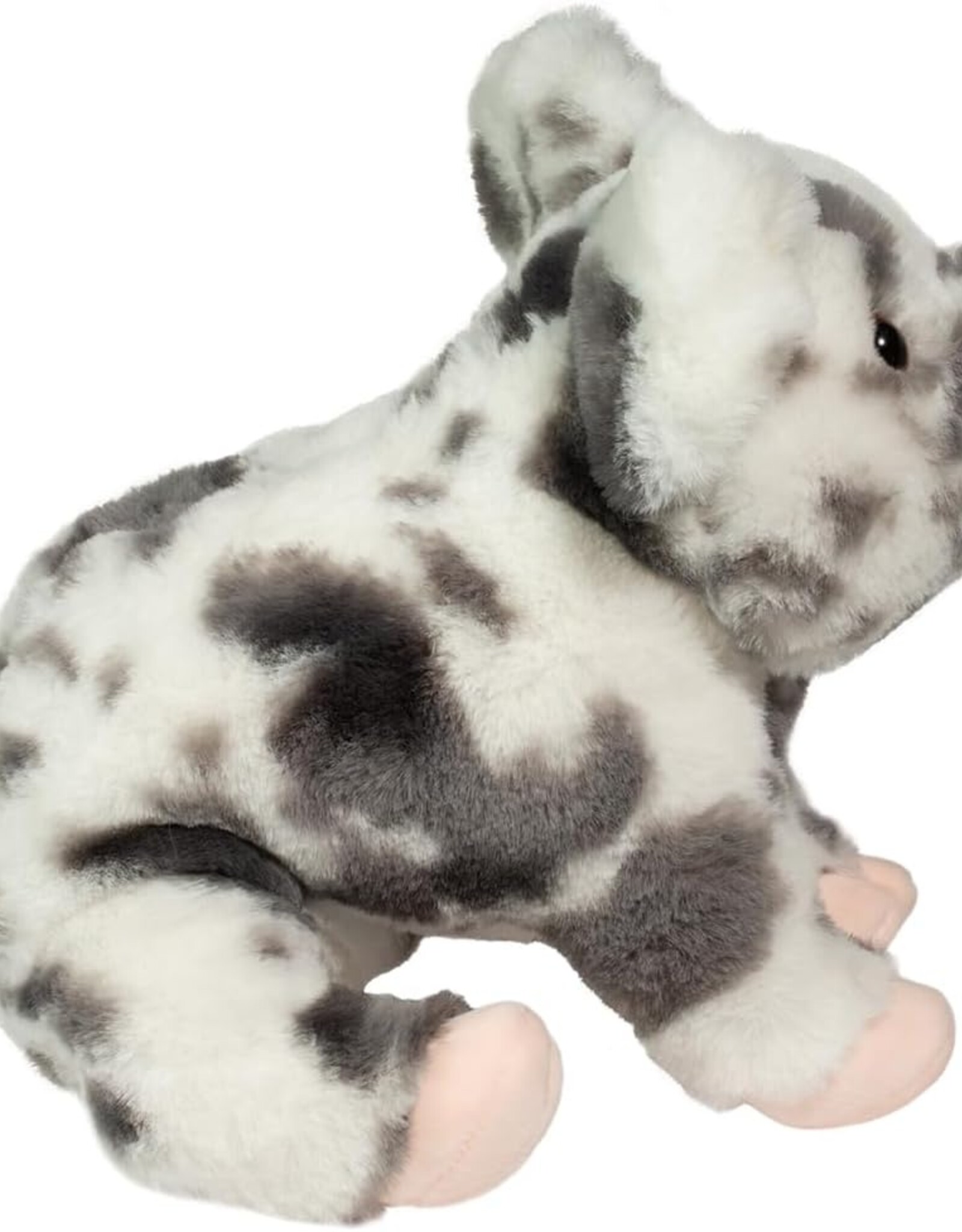 Zoinkie Spotted Pig