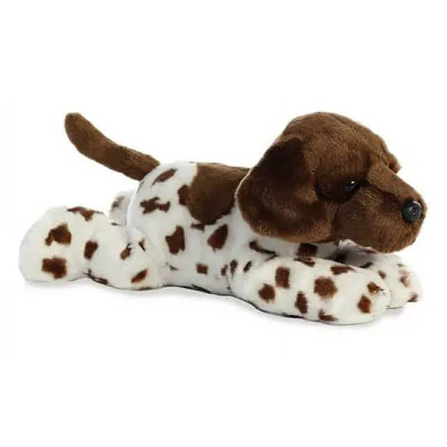 Gio German Shorthair Flopsie