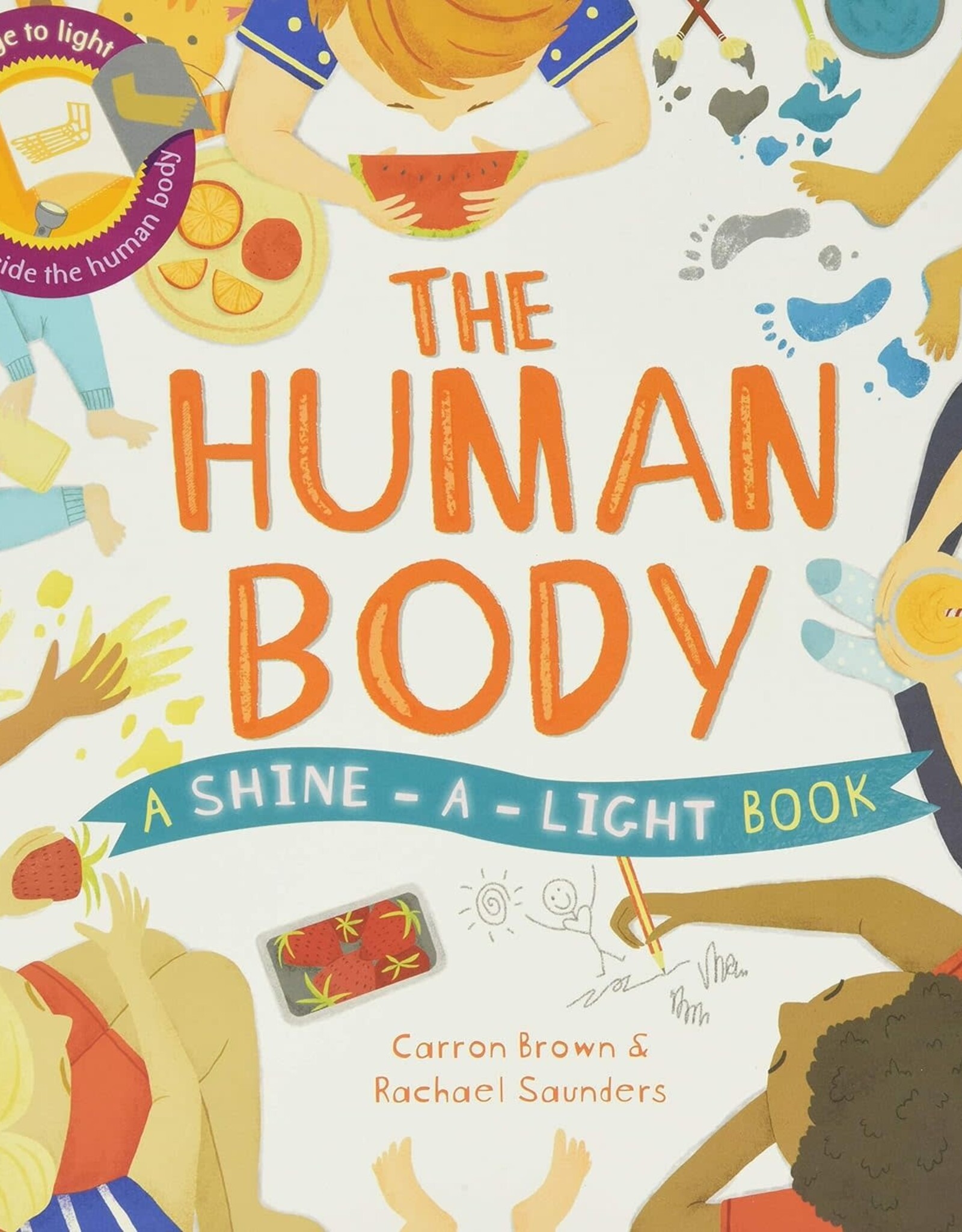 Shine-a-Light; The Human Body