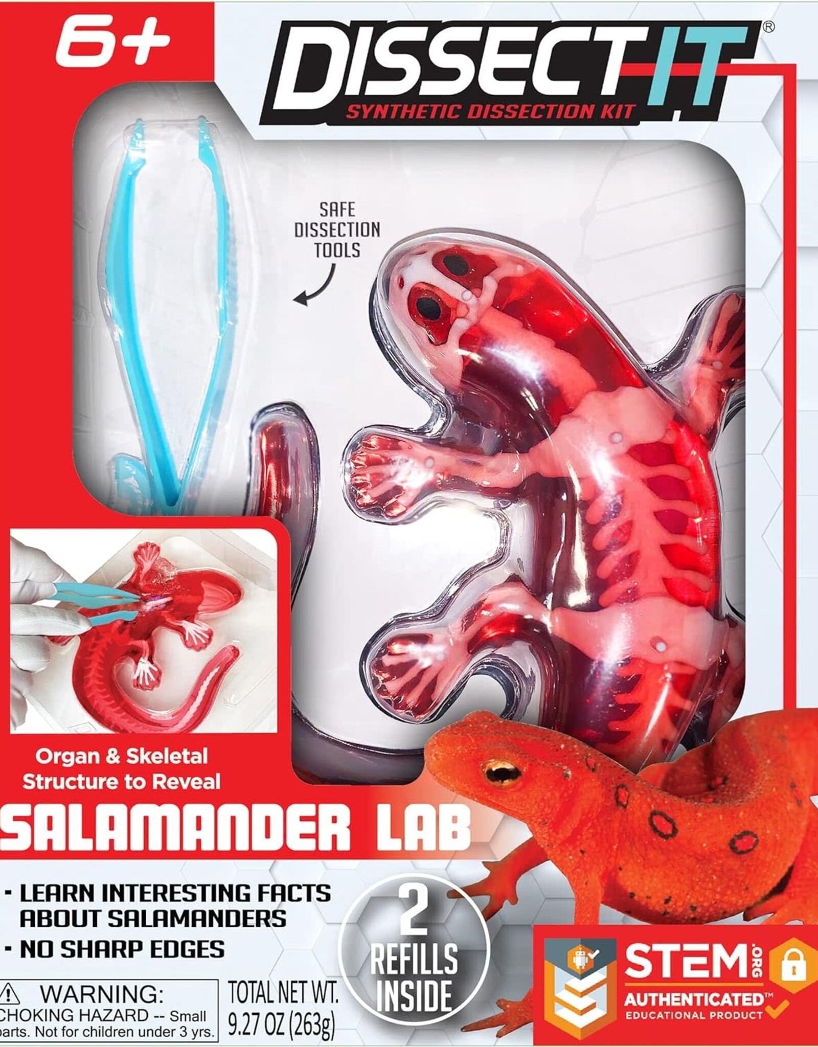 Dissect Salamander