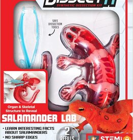 Dissect Salamander