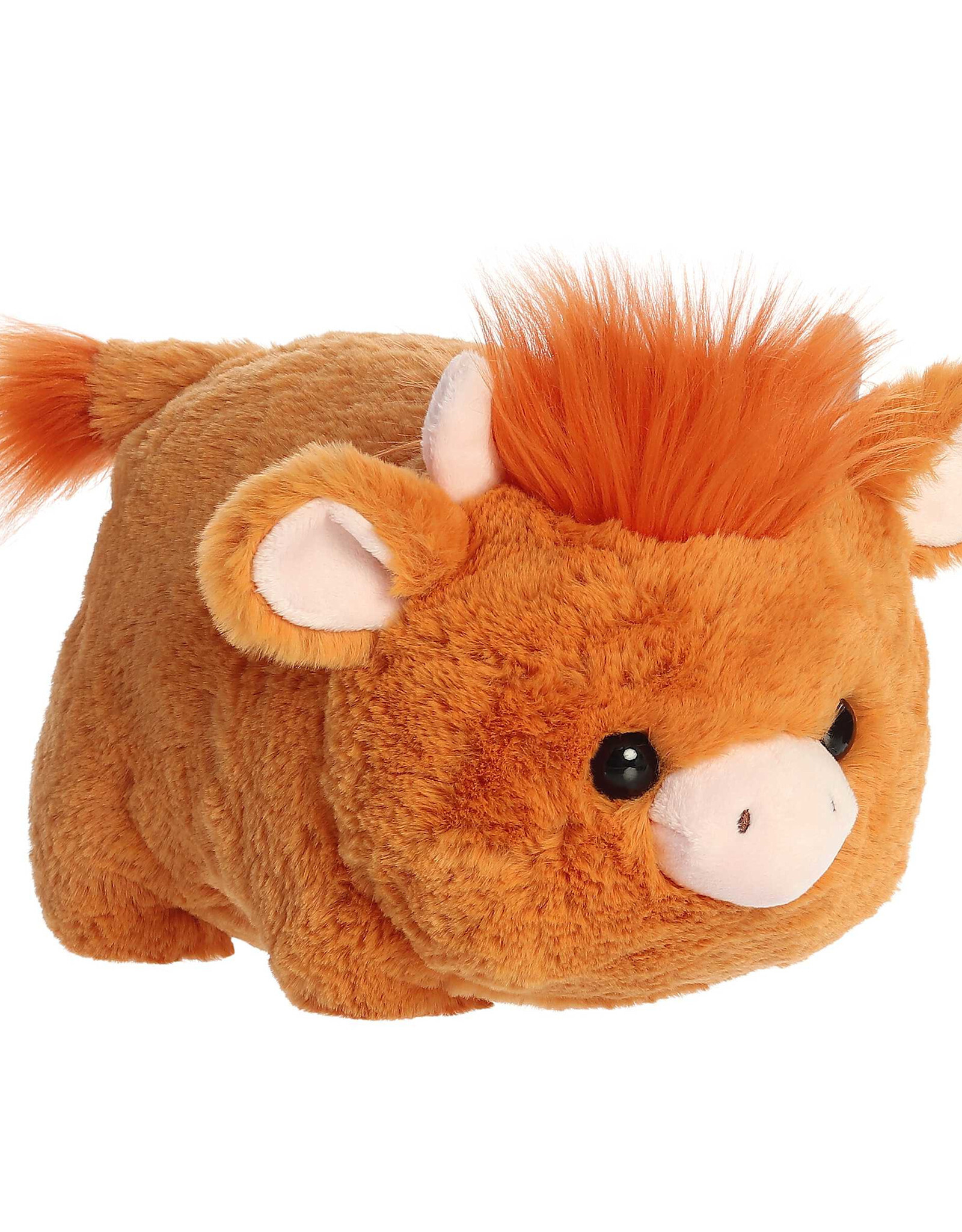 Spudsters Hamish Highland Cow
