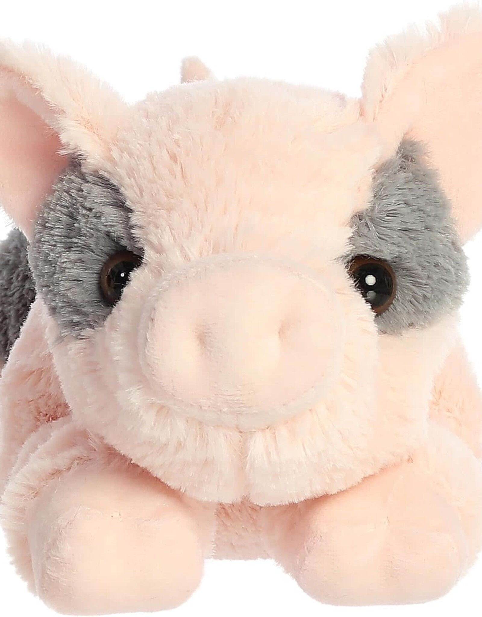 Tidbit Pig Flopsie