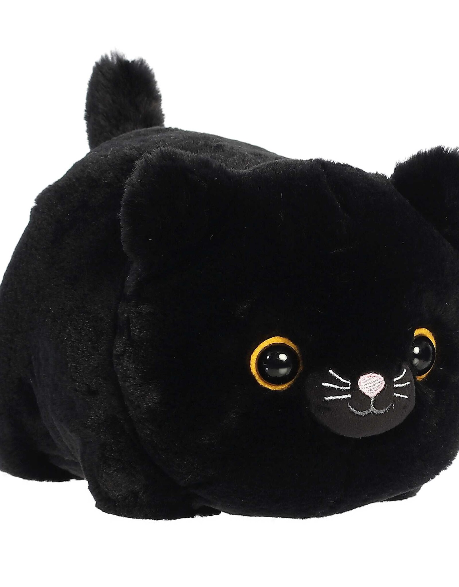 Spudsters  Bella Black Cat