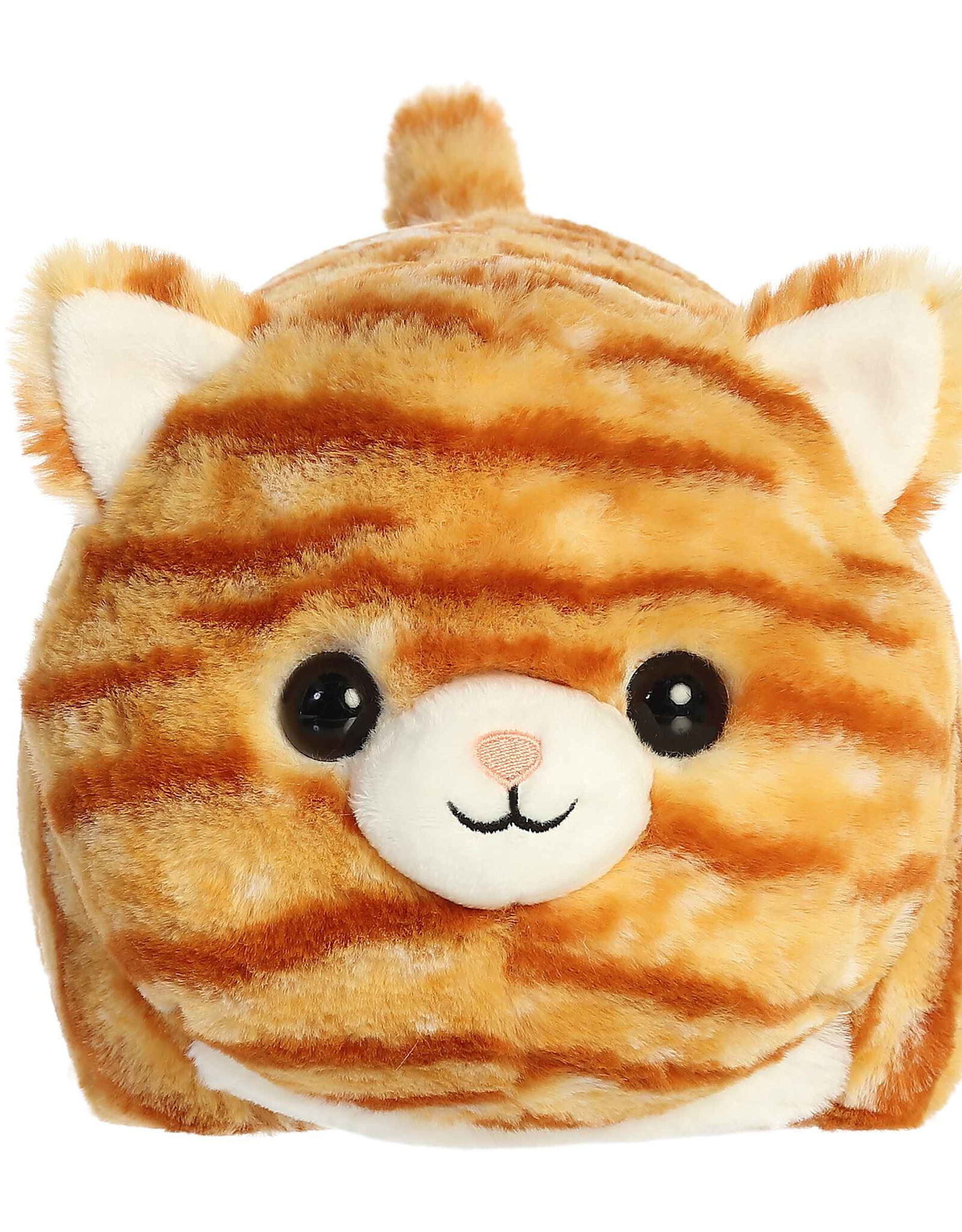 Spudsters Taco Orange Tabby