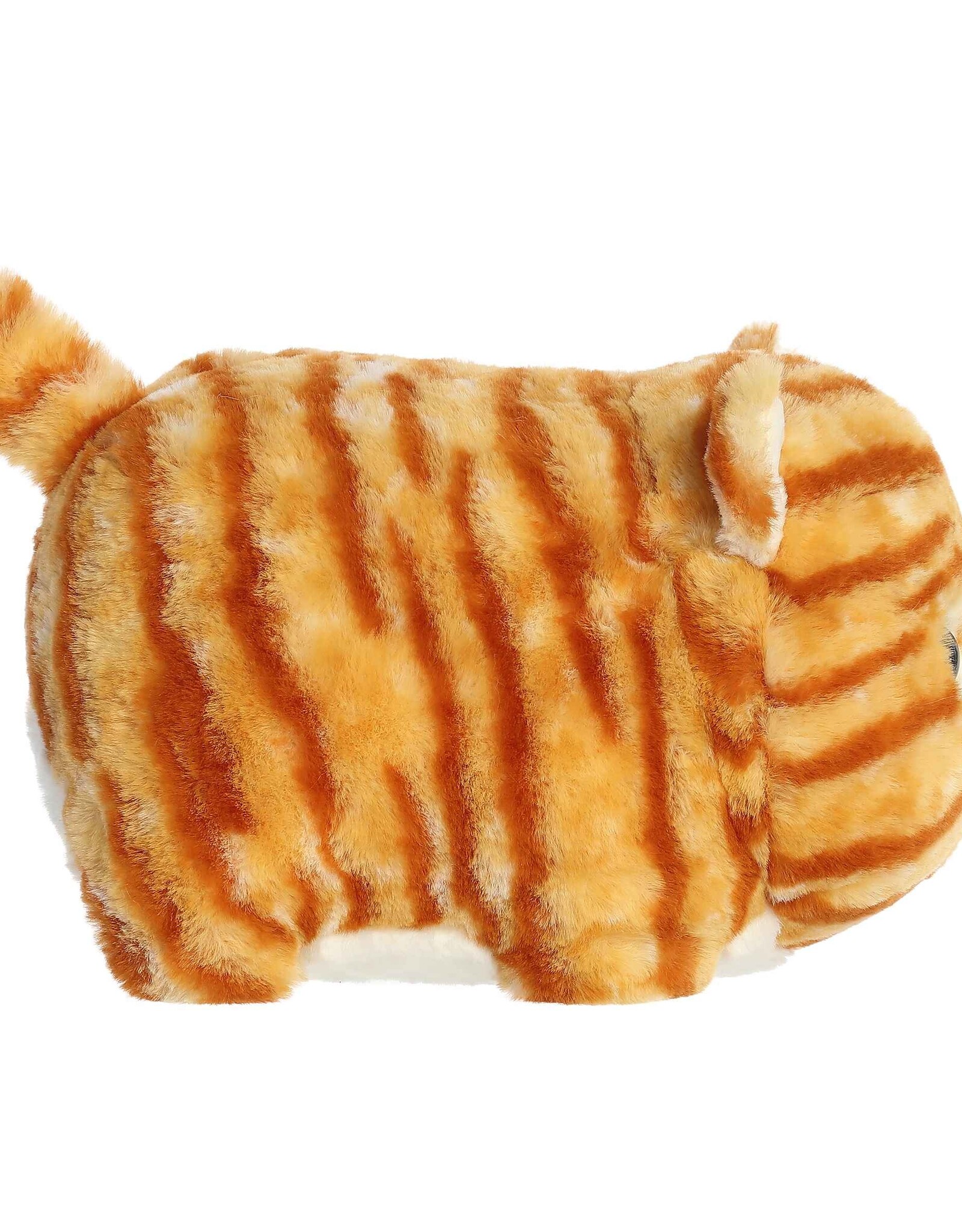 Spudsters Taco Orange Tabby