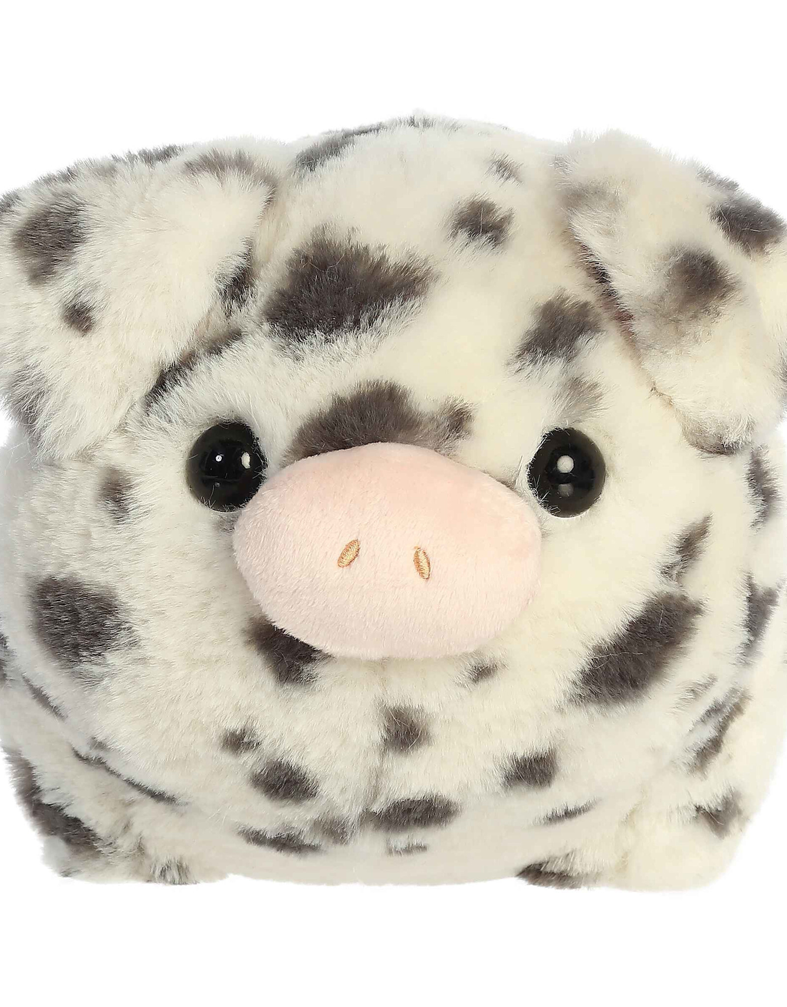 10" Pierre Spotted Pig