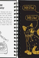 SCRATCH & SKETCH KITTENS