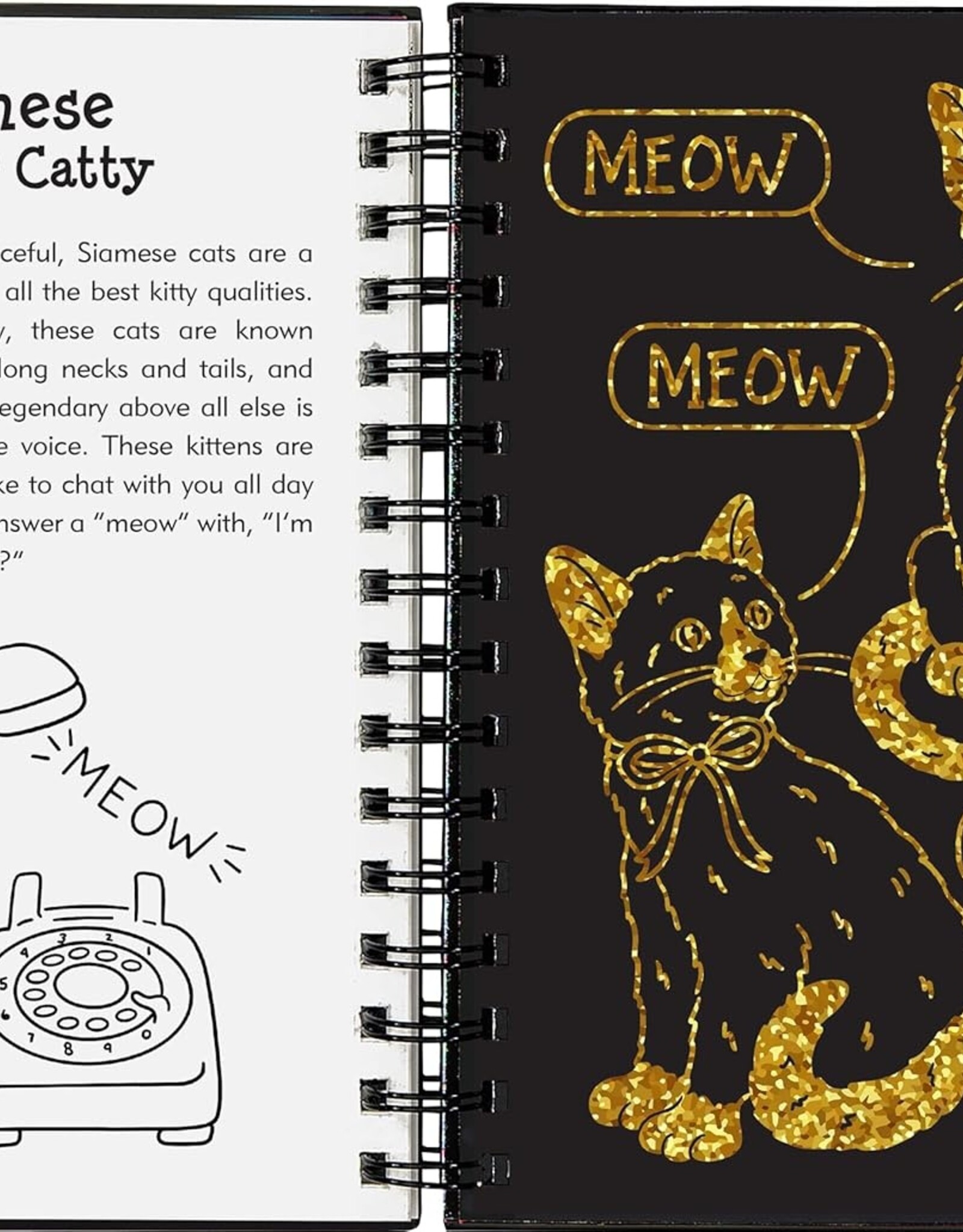 Kittens Scratch and Sketch
