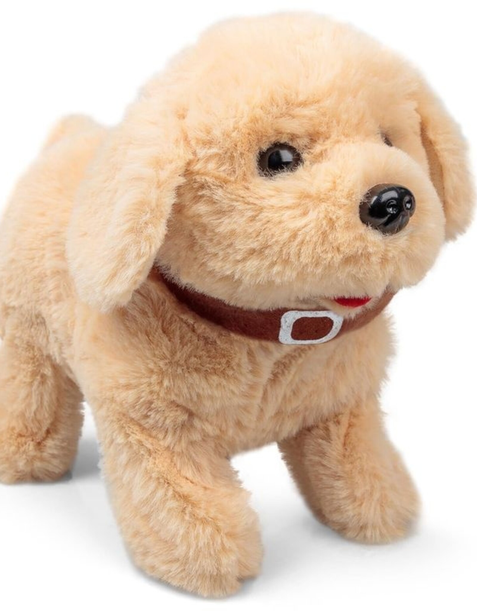 FLIPPING PUPPY LABRADOR DOG