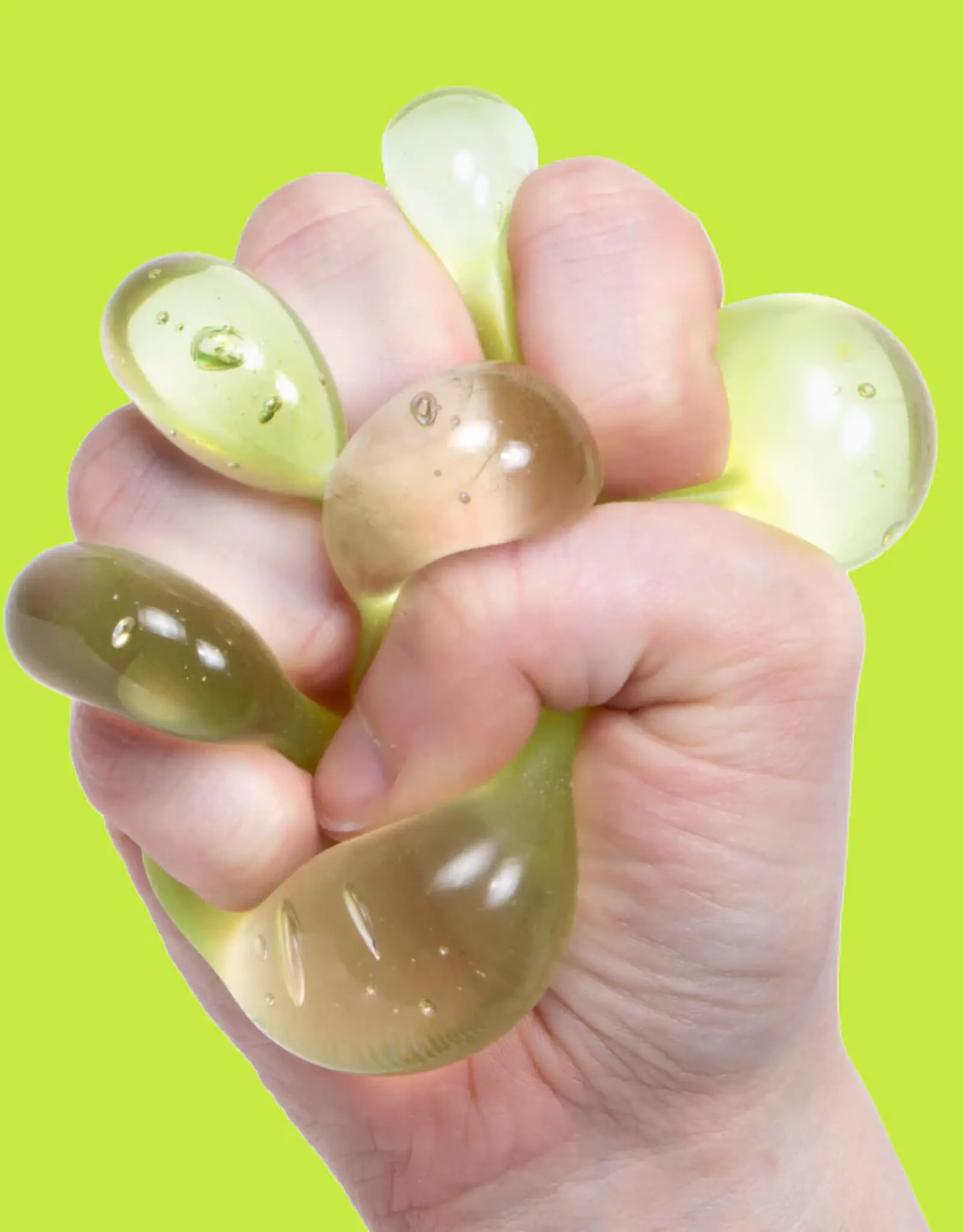Gump  Original Algae