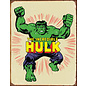 Novelty  Metal Tin Sign 12.5"Wx16"H Hulk Retro Novelty Tin Sign