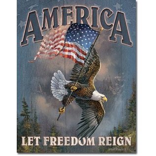 Novelty  Metal Tin Sign 12.5"Wx16"H America - Let Freedom Reign Novelty Tin Sign