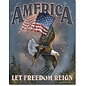 Novelty  Metal Tin Sign 12.5"Wx16"H America - Let Freedom Reign Novelty Tin Sign