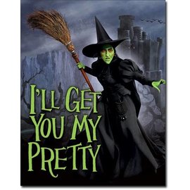 Novelty  Metal Tin Sign 12.5"Wx16"H WOZ - Witch - I'll Get You Novelty Tin Sign