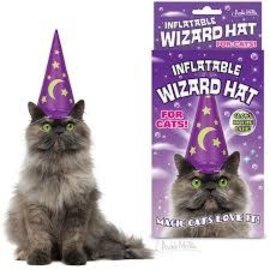 Rocket Fizz Lancaster's Inflatable Wizard Hat For Cats