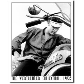 Novelty  Metal Tin Sign 12.5"Wx16"H Wertheimer - Elvis on Bike Novelty Tin Sign