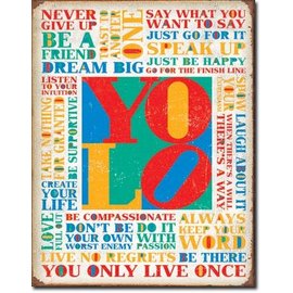 Novelty  Metal Tin Sign 12.5"Wx16"H You Only Live Once Novelty Tin Sign