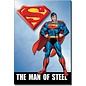 Rocket Fizz Lancaster's Magnet: Superman Man of Steel