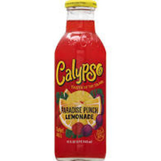 Rocket Fizz Lancaster's Calypso Paradise Punch Lemonade