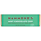 Rocket Fizz Lancaster's Hammonds Bar Mint Chocolate Chip Dark