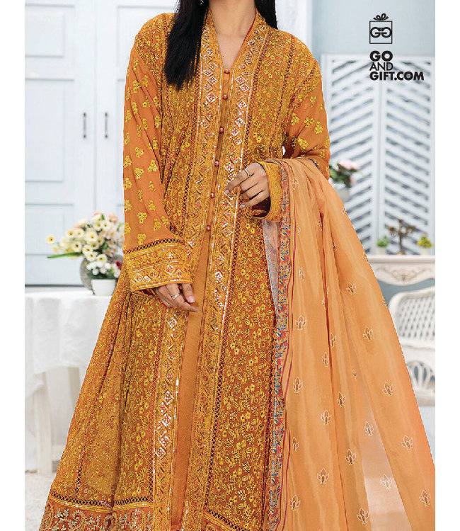 Adan's Libas Chikankari Gown Rainbow