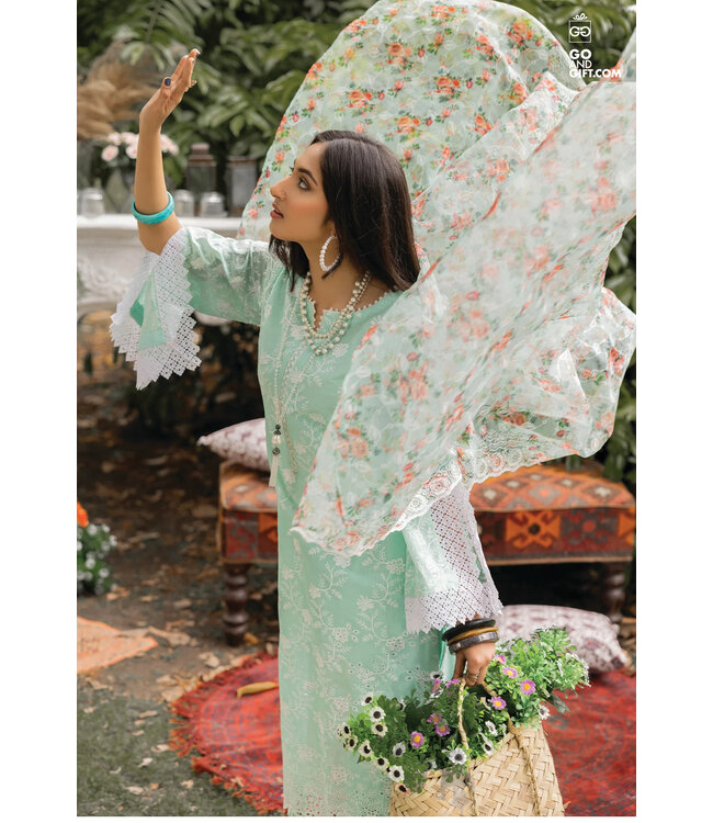 Adan's Libas Chikankari-2 Pret-AL