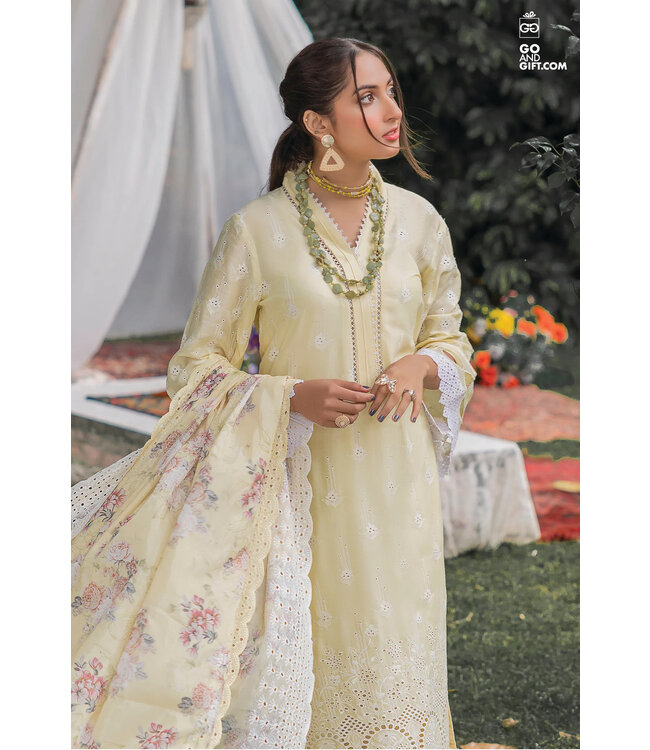 Adan's Libas Chikankari-2 Pret-AL