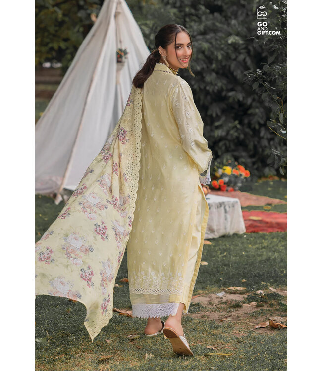 Adan's Libas Chikankari-2 Pret-AL