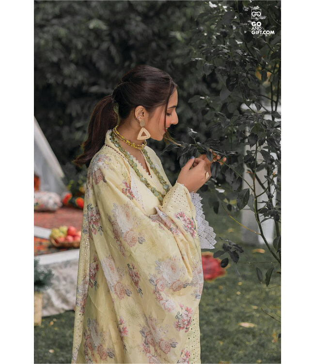 Adan's Libas Chikankari-2 Pret-AL