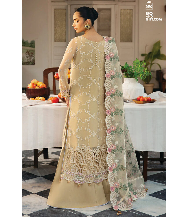 Ramsha Salwar Kameez-Ramsha-Q-105t5