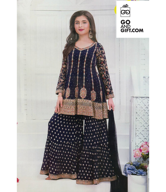 Krish Sequins Lehenga-KRS-3087t5