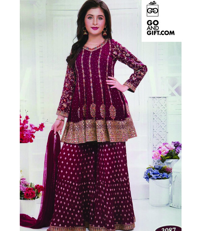 Krish Sequins Lehenga-KRS-3087t5