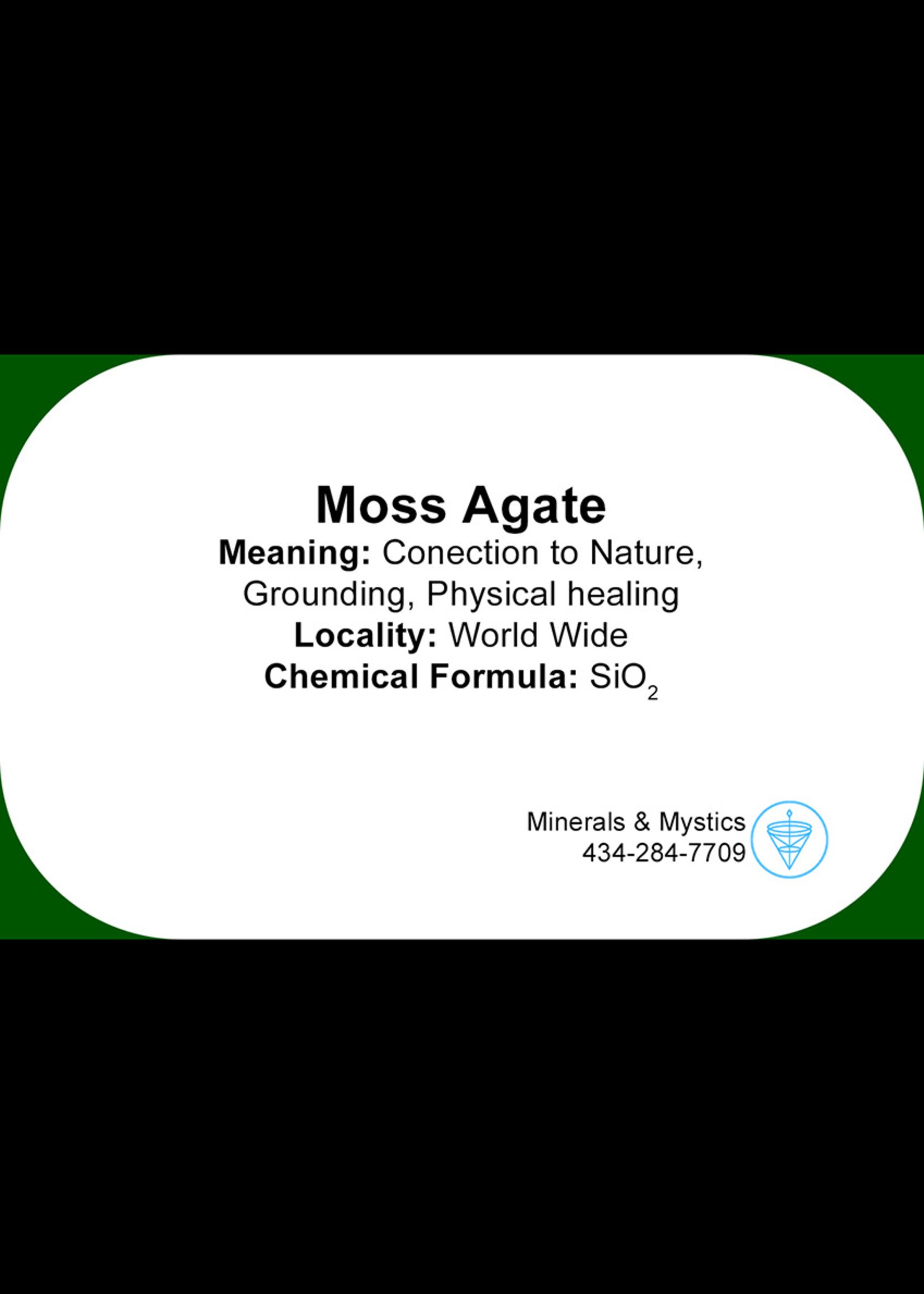Minerals & Mystics Moss Agate Beaded Bracelet