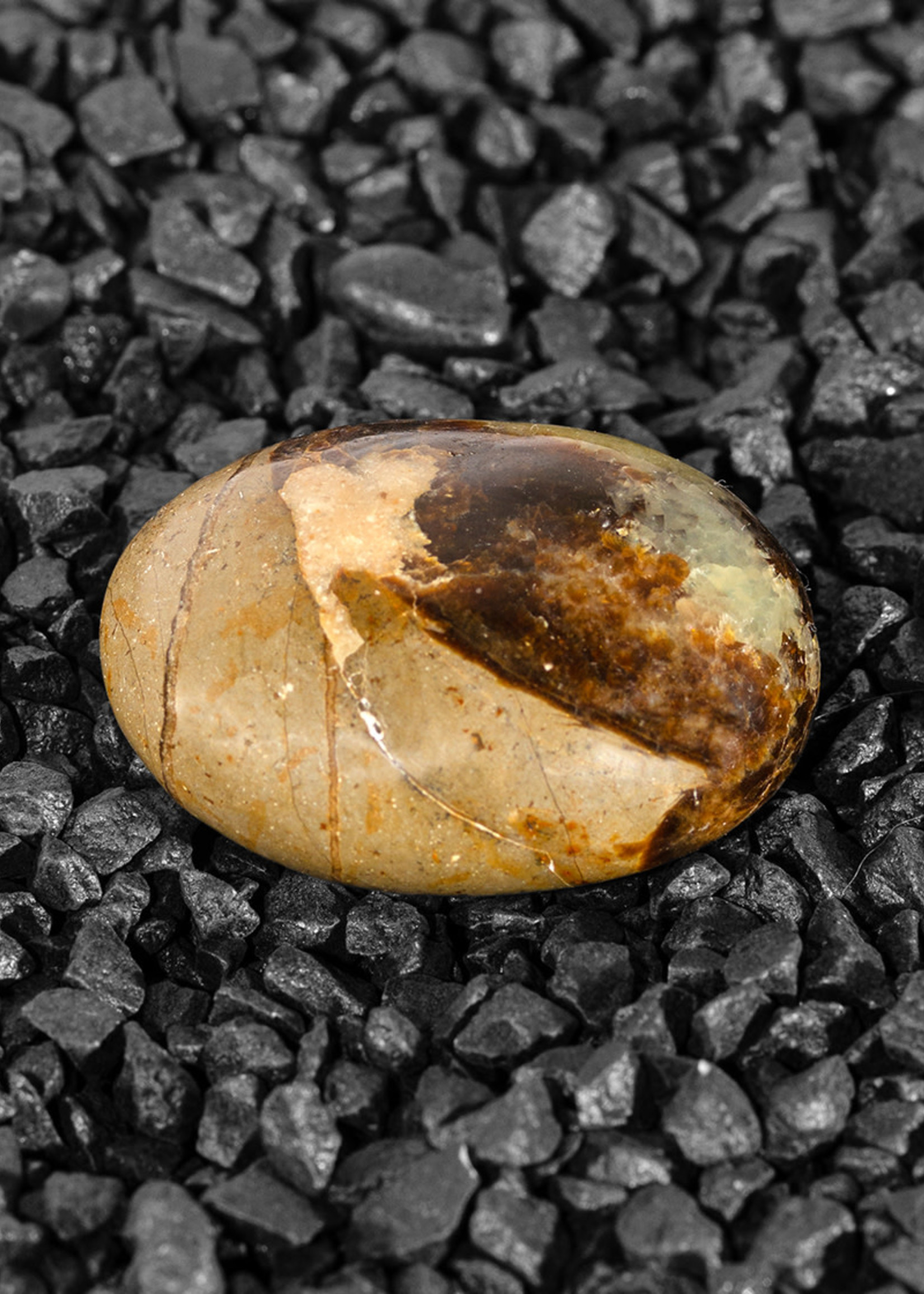 Minerals & Mystics Septarian Nodule Pebble