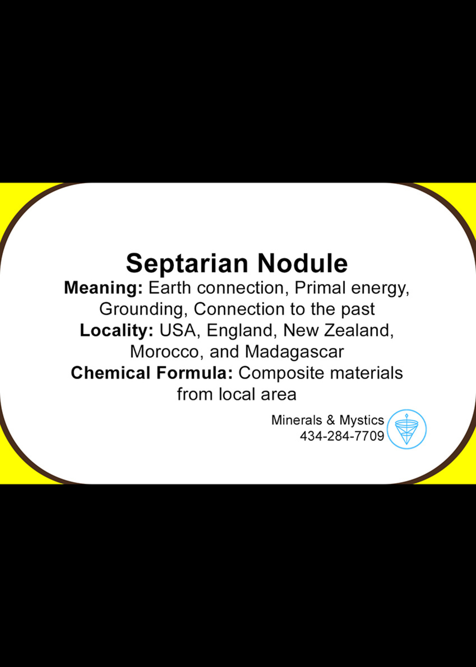 Minerals & Mystics Septarian Nodule Pebble