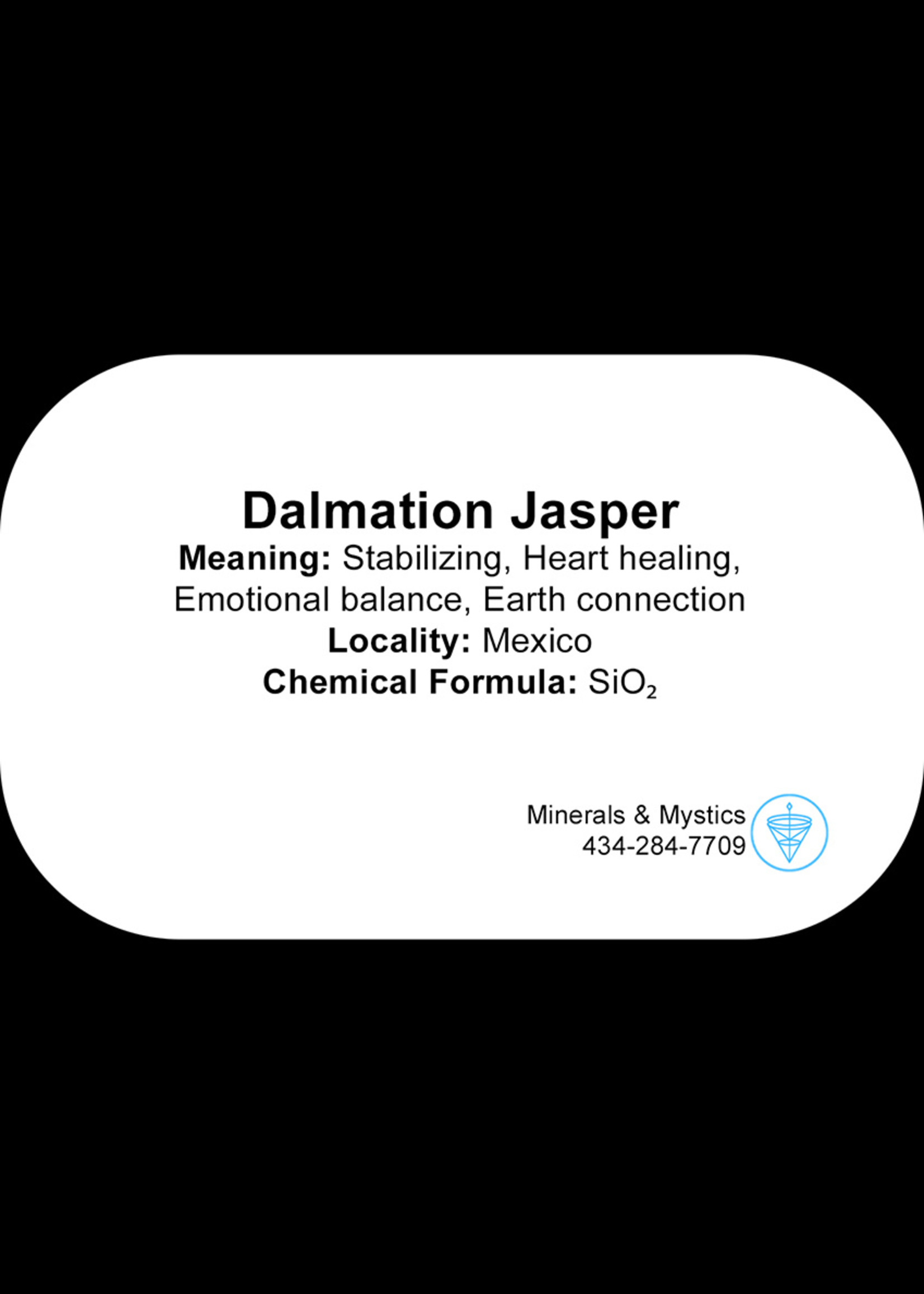 Minerals & Mystics Dalmatian Jasper Beaded Bracelet