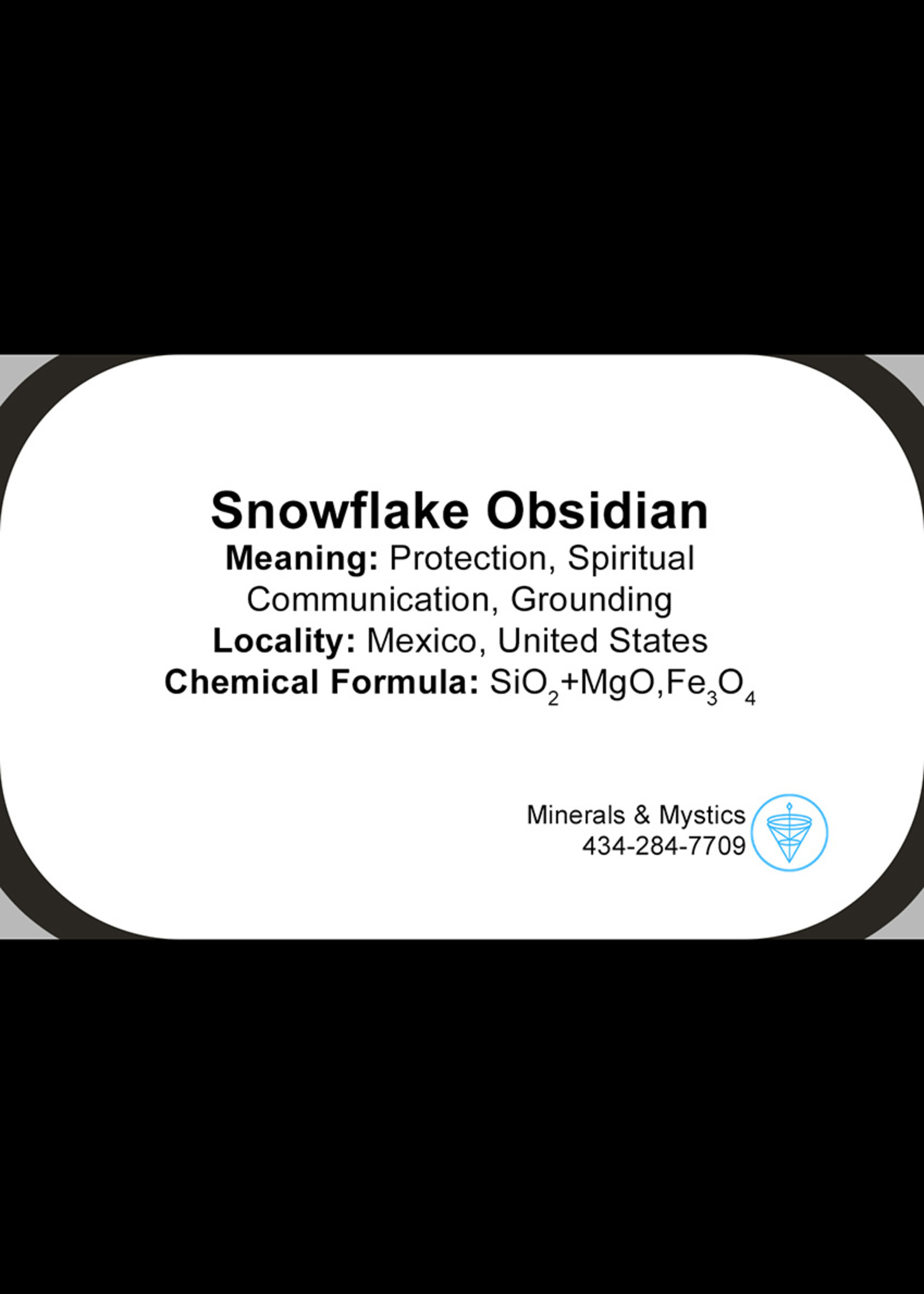 Minerals & Mystics Snowflake Obsidian Beaded Bracelet