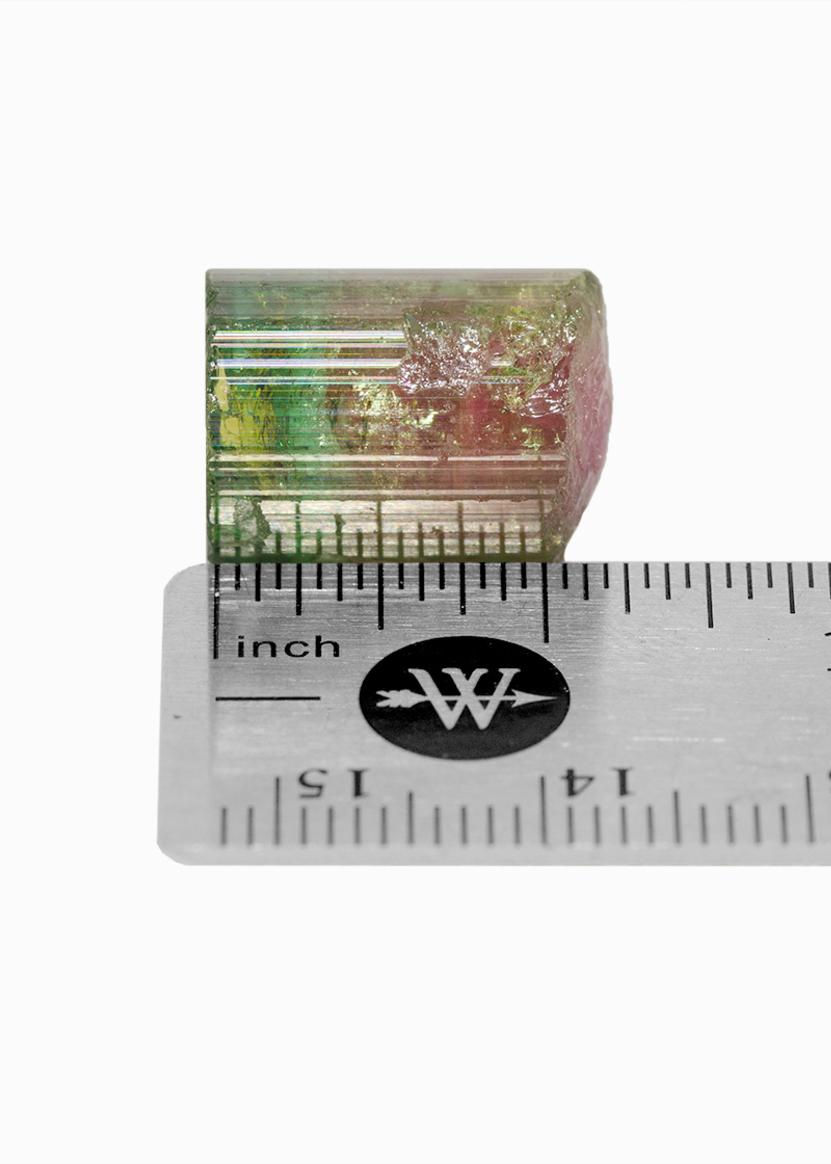 Minerals & Mystics Watermelon Tourmaline Crystal