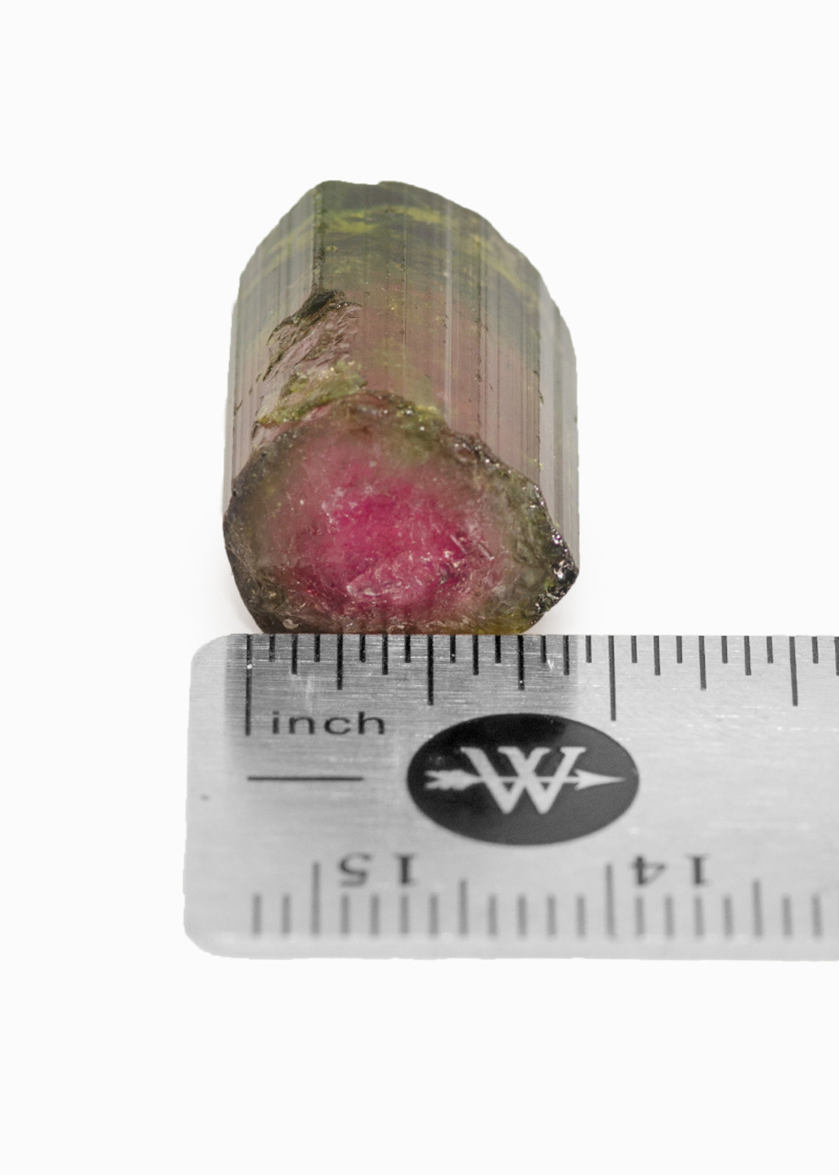 Minerals & Mystics Watermelon Tourmaline Crystal