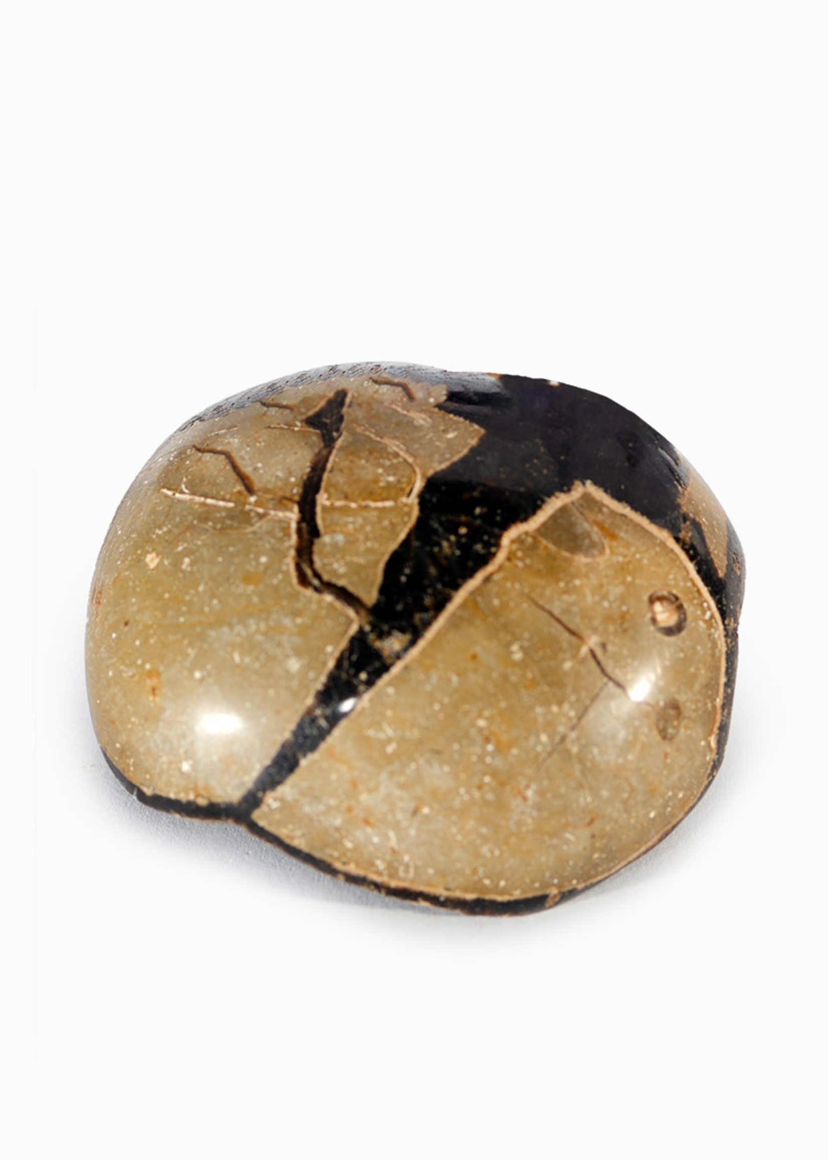 Minerals & Mystics Septarian Nodule Egg