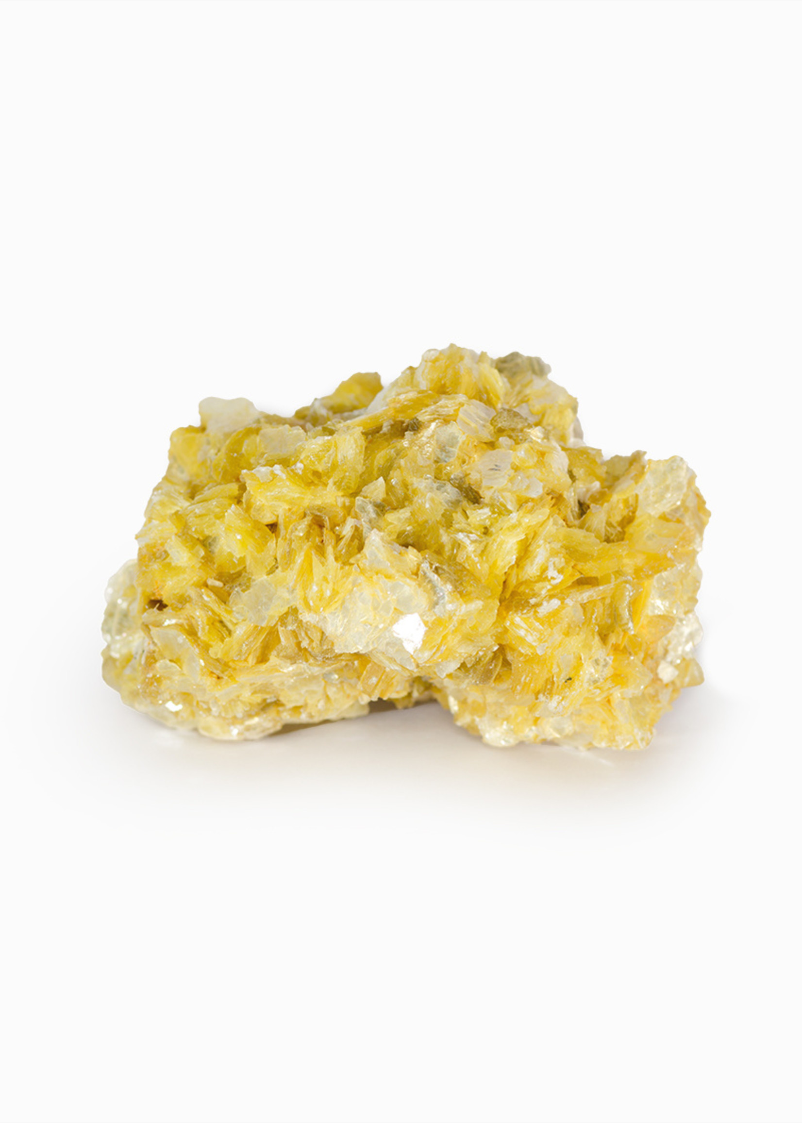 Minerals & Mystics Golden Star Lepidolite