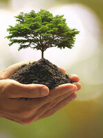 Manifesting for Fun and Prosperity