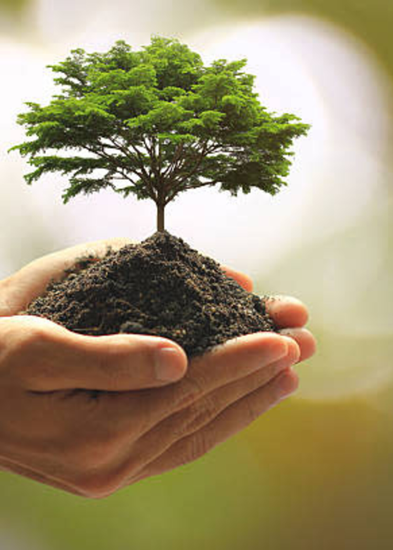 Manifesting for Fun and Prosperity