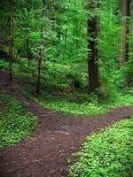 Minerals & Mystics Breaking Old Habits Workshop