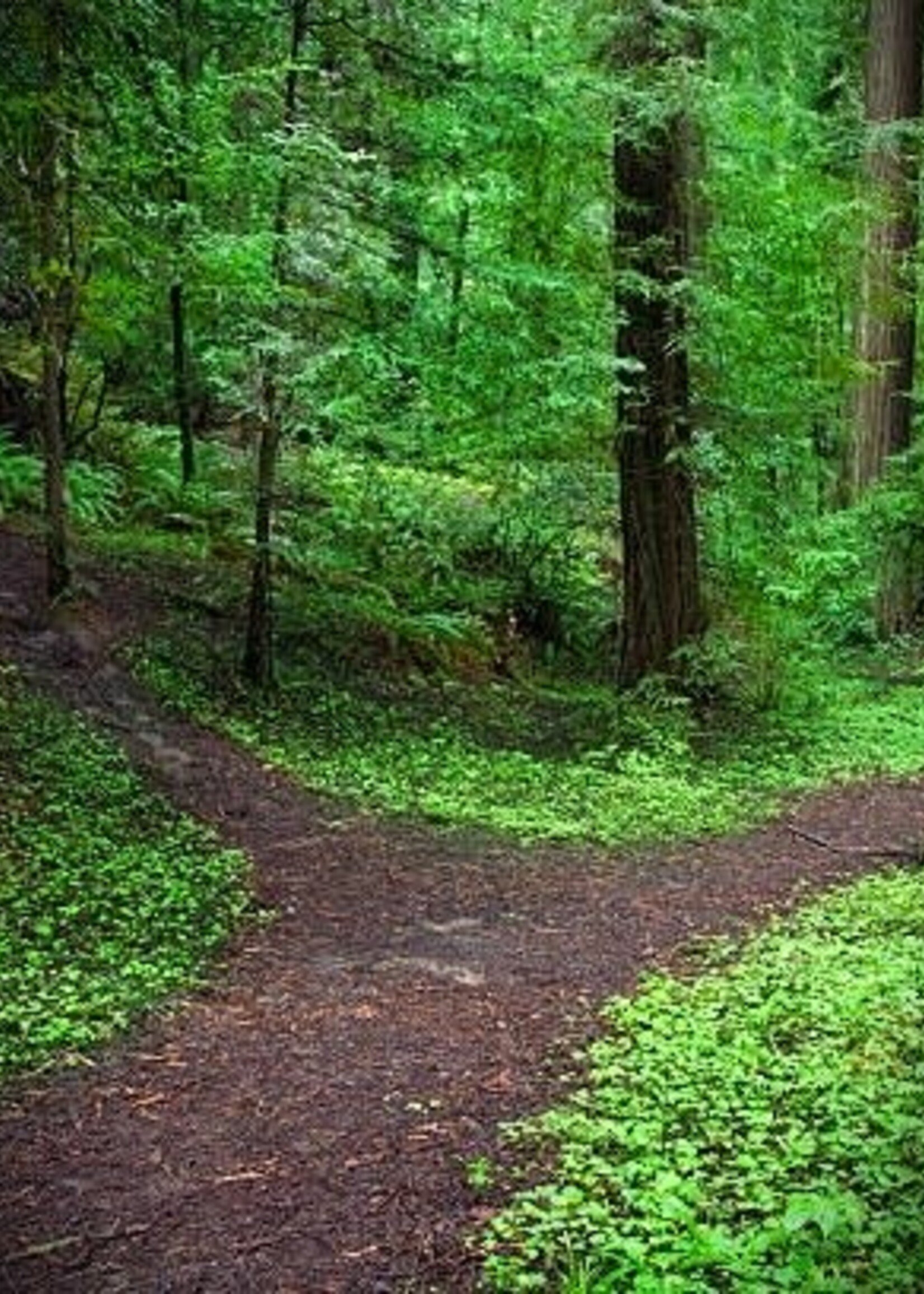 Minerals & Mystics Breaking Old Habits Workshop