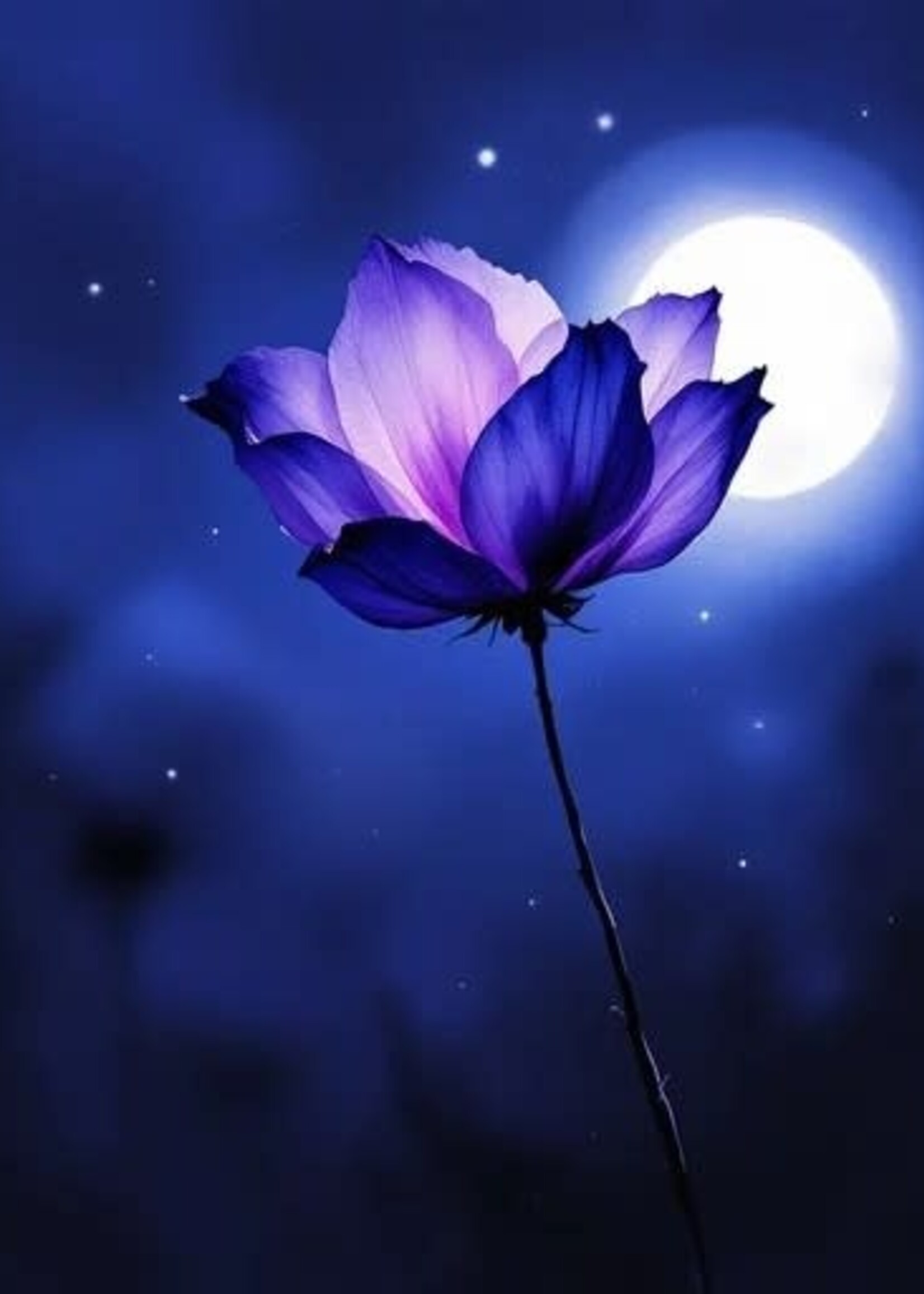 Minerals & Mystics Flower Moon Tea Ceremony